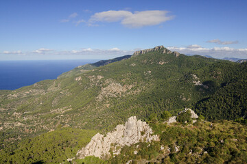 Fototapeta na wymiar Mola y bosque de Planicia, Estellencs, sierra de tramuntana, Mallorca. Islas Baleares. Spain.