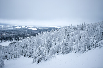 Obraz premium Winter landscape with forests in Tahko, Finland