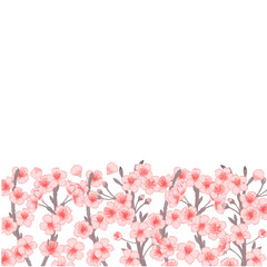 Vector sakura trees blomming collections frames. Set of cherry flowers