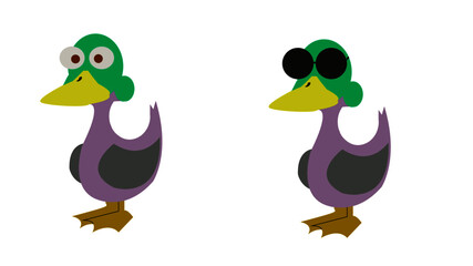 Duck and Duck with sunglasses