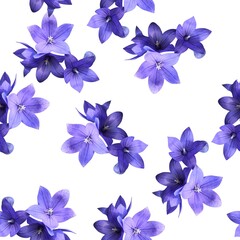 Seamless summer print for fabric. Violet campanula flowers on white background.