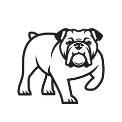 English bulldog - isolated outlined vector illustration
