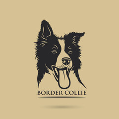 Border Collie dog - isolated vector illustration
