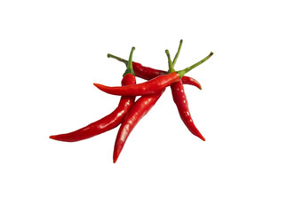 Chilli red isolated on white background with clipping path