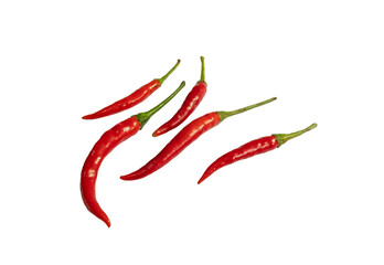 Chilli red isolated on white background with clipping path