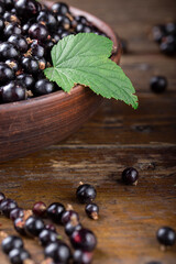 ripe currants with leaves