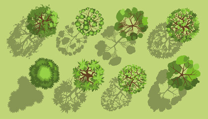 Trees with a realistic shadow. Top view. Different plants and trees vector set for architectural or landscape design. (View from above) Nature green spaces.