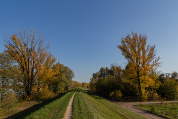 road along the autumn trees