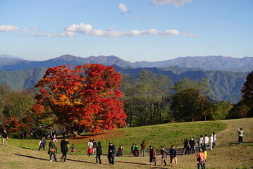 Fototapeta premium Autumn landscape. Autumn is a wonderful time of the year, with beautiful colors and a peaceful atmosphere around, Japan