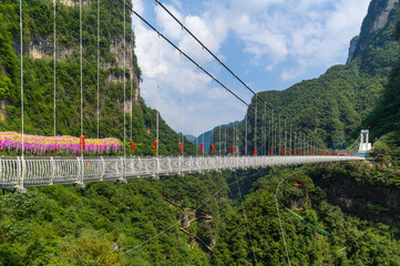 Summer scenery of the Three Gorges sea of bamboo in Yichang, Hubei, China