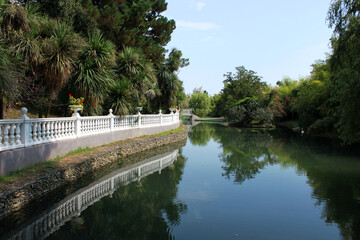 View of the pond in the Park "Southern cultures" in Adler, Sochi, Caucasus, Russia.