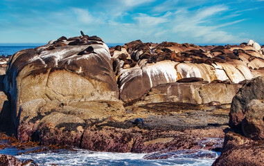 Ciudad del Cabo  © guillermo