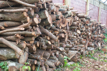 During deforestation Stacked chopped wood on side of the wall .Wooden logs in the forest after the...