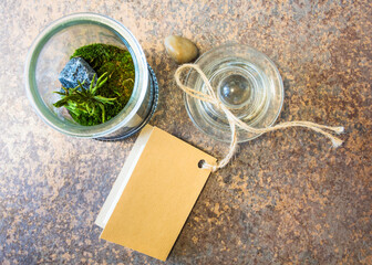 glass jar with piece of forest. Minimal nature concept. Ecology Concept. Environmentally friendly planet. - 376032555