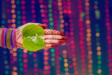Indian festival Dussehra, green apta leaf in hand