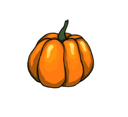 Orange pumpkin clip art isolated on white background as illustration for autumn halloween design    