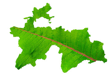 Map of Tanjikistanin green leaf texture on a white isolated background. Ecology, climate concept, 3d illustration