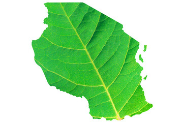 Map of Tanzania in green leaf texture on a white isolated background. Ecology, climate concept, 3d illustration