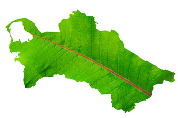 Map of Turkmenistan in green leaf texture on a white isolated background. Ecology, climate concept, 3d illustration