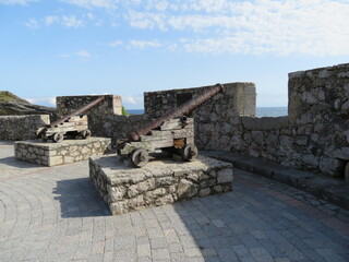 Beautiful very old military cannon that was used in the war
