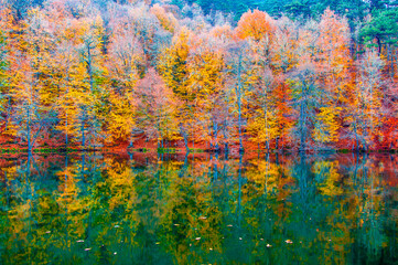 Obraz na płótnie Canvas Yedigoller or Seven Lakes National Park in Turkey