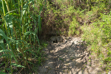 old source of drinking water in the countryside