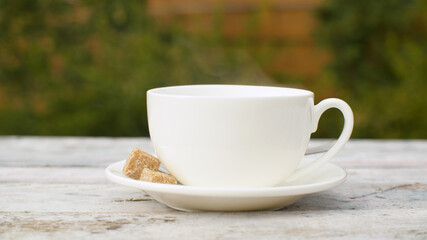 Fototapeta na wymiar A cup of hot tea outdoors