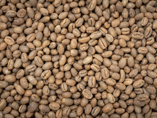 raw not roasted coffee beans from africa 