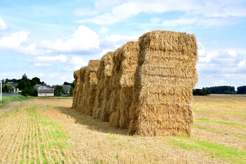 bales of rectangular straw are stacked in the form of a fortress wall