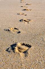 Footprints in the sand