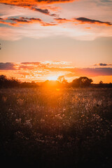 Colorful and dramatic sunset view with illuminated clouds and burning sky and nature countryside view