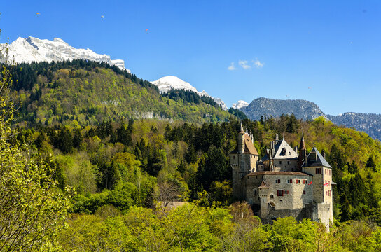 View of the Castle of Menthon-Saint-Bernard (Ch&acirc;teau de Menthon-Saint-Bernard) surrounding the forest and the Alps. Switzerland