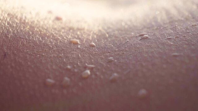 Finger sliding on wet tanned body