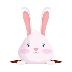 cute easter little rabbit in hole character