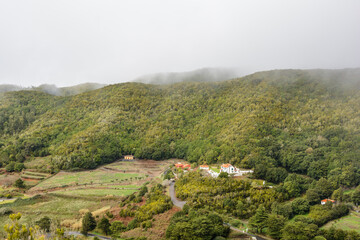 forest and hills. Green spring nature flourishing towards mountain top