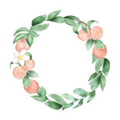Peach fruit watercolor wreath with green leaves ans flowers. Botanical illustration