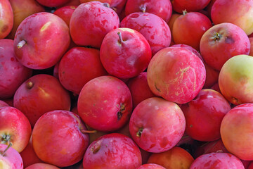 Natural background. Top view of apples stacked in a box close-up.
