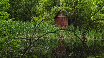 Dom w głębi lasu © spacer.z.aparatem 