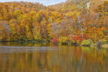 Autumn landscape. Autumn is a wonderful time of the year, with beautiful colors and a peaceful atmosphere around, Japan