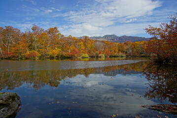 Autumn landscape. Autumn is a wonderful time of the year, with beautiful colors and a peaceful atmosphere around, Japan