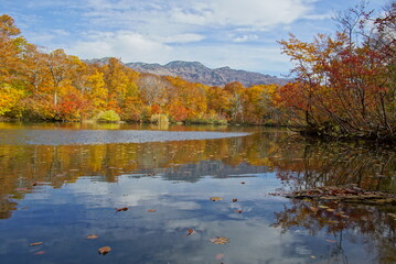 Autumn landscape. Autumn is a wonderful time of the year, with beautiful colors and a peaceful atmosphere around, Japan