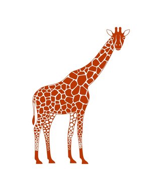 Giraffe logo. Isolated giraffe on white background
