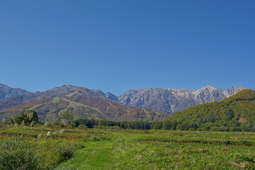 Obraz premium sunny autumn panorama of countryside in Japan, Hakuba valley