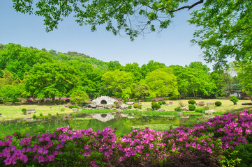 Wuhan East lake Forest Park scenery in spring