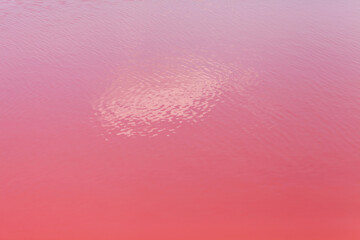 Reflection of a cloud in a salty pink lake