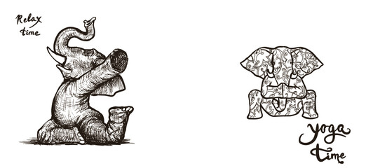 Elephant doing yoga exercises set of different poses a symbol of strength and health vector.