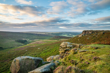 Epic colorful landscape view of late Summer heather in Peak District around Higger Tor at sunrise