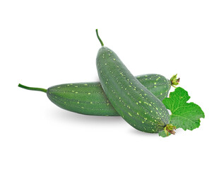 fresh loofah on the white background