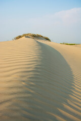 Sand dunes in the Thar desert