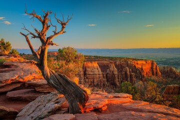 Colorado National Monument at sunrise © larryknupp
